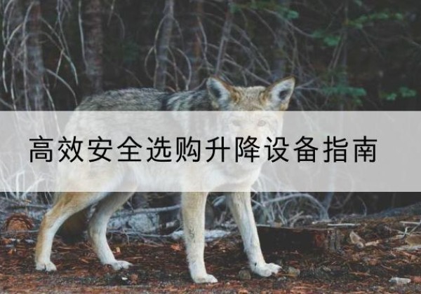 渭南升降货梯厂家推荐-*安全选购升降设备指南