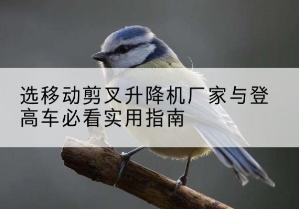 渭南电动升降机厂家-选移动剪叉升降机厂家与登高车必看实用指南